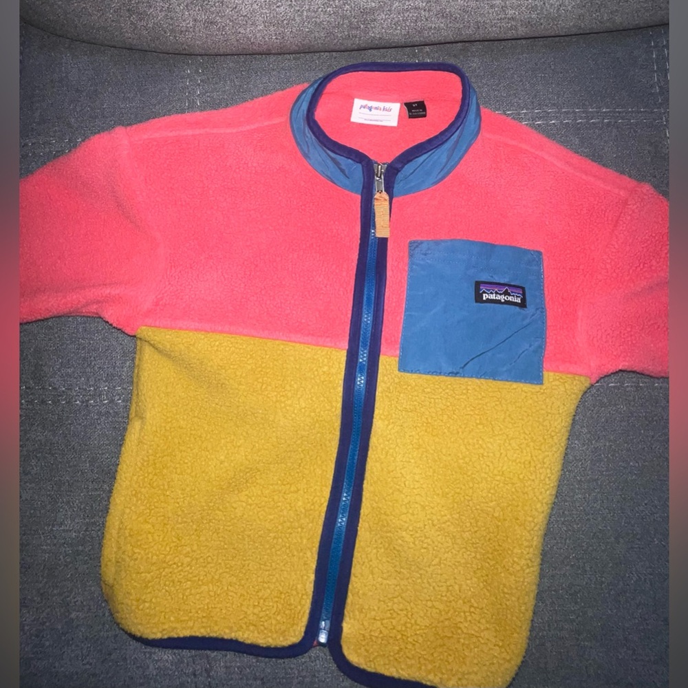 Patagonia Synchilla Fleece jacket